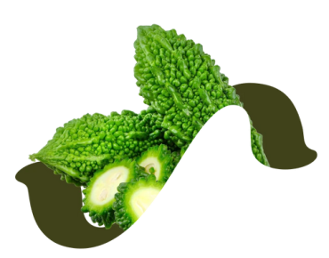 Icon-4-Karela_500x